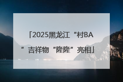 2025黑龙江“村BA”吉祥物“隆隆”亮相