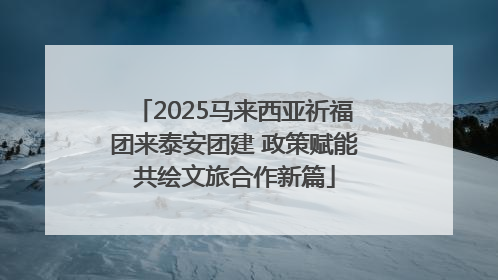 2025马来西亚祈福团来泰安团建 政策赋能共绘文旅合作新篇