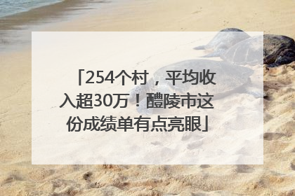 254个村，平均收入超30万！醴陵市这份成绩单有点亮眼