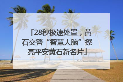 28秒极速处置，黄石交警“智慧大脑”擦亮平安黄石新名片