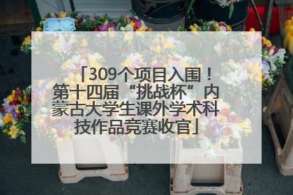 309个项目入围！第十四届“挑战杯”内蒙古大学生课外学术科技作品竞赛收官