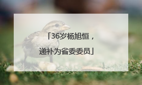36岁杨旭恒，递补为省委委员
