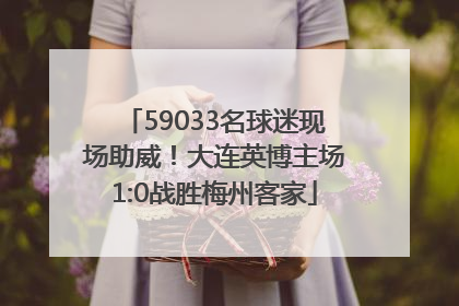 59033名球迷现场助威！大连英博主场1:0战胜梅州客家