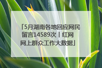 5月湖南各地回应网民留言14589次丨红网网上群众工作大数据