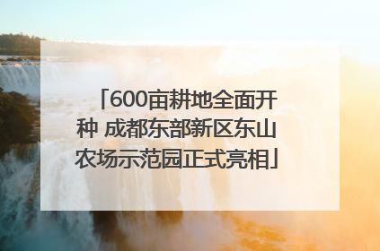 600亩耕地全面开种 成都东部新区东山农场示范园正式亮相