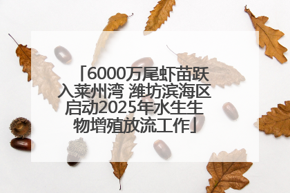 6000万尾虾苗跃入莱州湾 潍坊滨海区启动2025年水生生物增殖放流工作