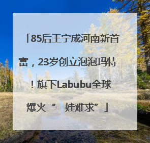 85后王宁成河南新首富，23岁创立泡泡玛特！旗下Labubu全球爆火“一娃难求”
