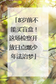 8岁前不能买盲盒！这场检察开放日点燃少年法治梦