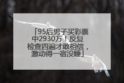 95后男子买彩票中2930万！反复检查四遍才敢相信，激动得一宿没睡