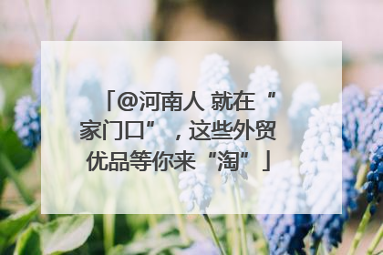@河南人 就在“家门口”，这些外贸优品等你来“淘”