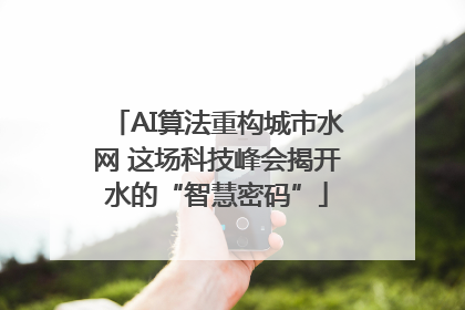 AI算法重构城市水网 这场科技峰会揭开水的“智慧密码”