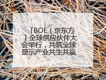 BOE（京东方）全球供应伙伴大会举行，共筑全球显示产业共生共赢新格局