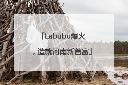 Labubu爆火，造就河南新首富