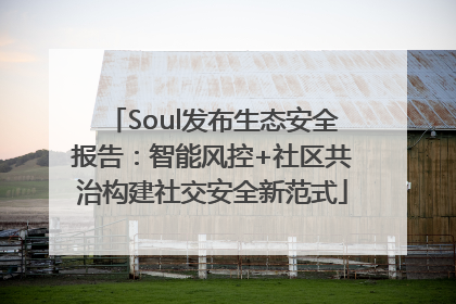 Soul发布生态安全报告：智能风控+社区共治构建社交安全新范式